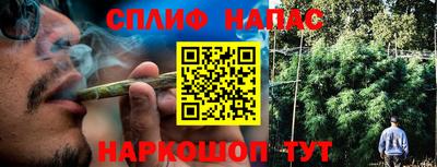 трава Будённовск