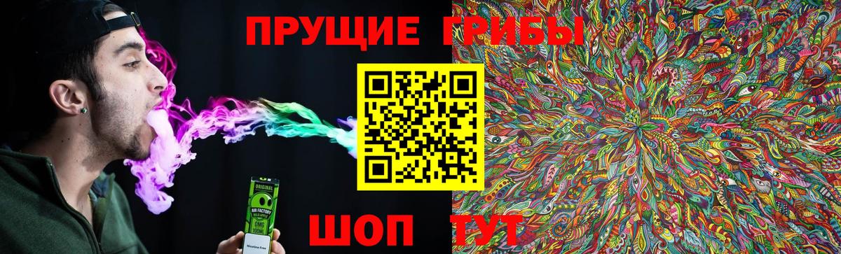 Псилоцибиновые грибы Psilocybe Нальчик