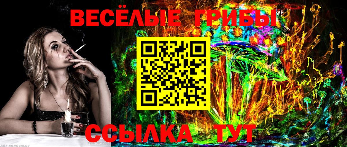 Нальчик  Псилоцибиновые грибы прущие грибы  Вход с VPN 